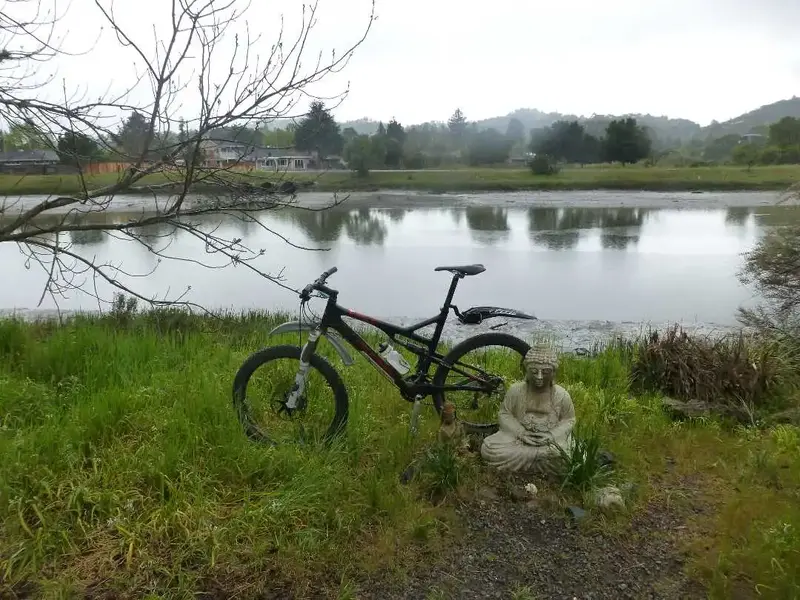 Buddha by the creek.webp