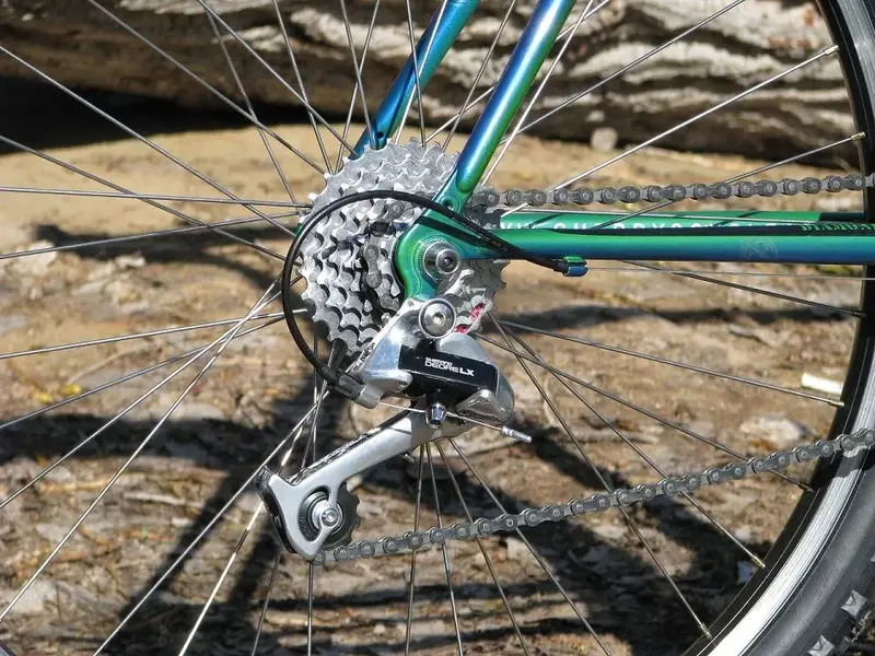 91 custom painted Diamond Back ascent ex by Cherrys Cycle Art 4.webp