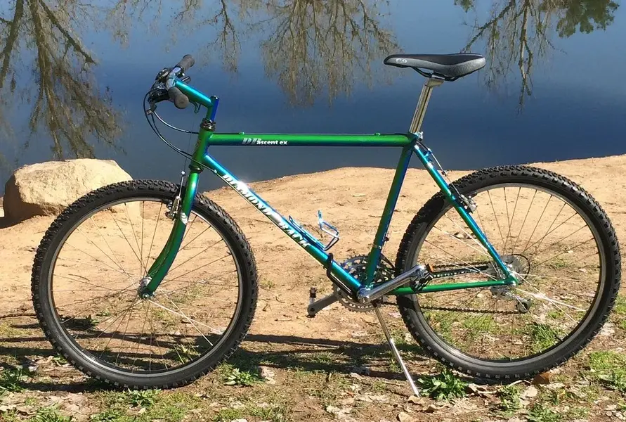 custom painted 91 Diamond Back ascent ex by Cherrys Cycle Art 3.webp