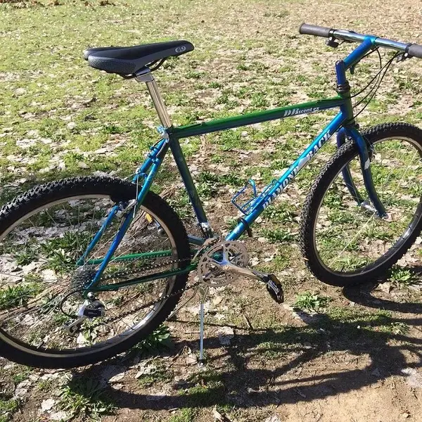 custom painted 91 Diamond Back ascent ex by Cherrys Cycle Art.webp