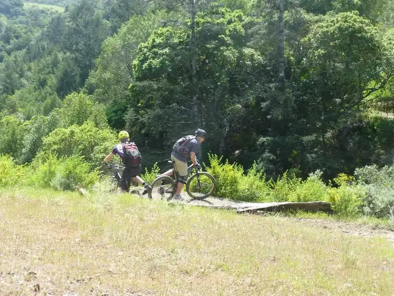 Tight Turn.webp