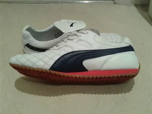 Puma del mundo shop