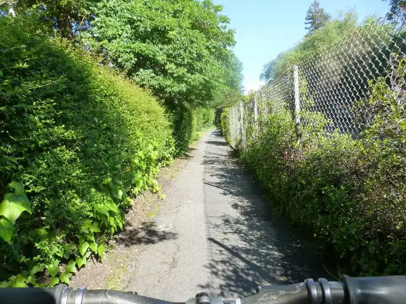 Ross bike path.webp
