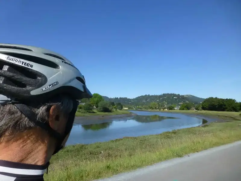 Corte Madera creek.webp