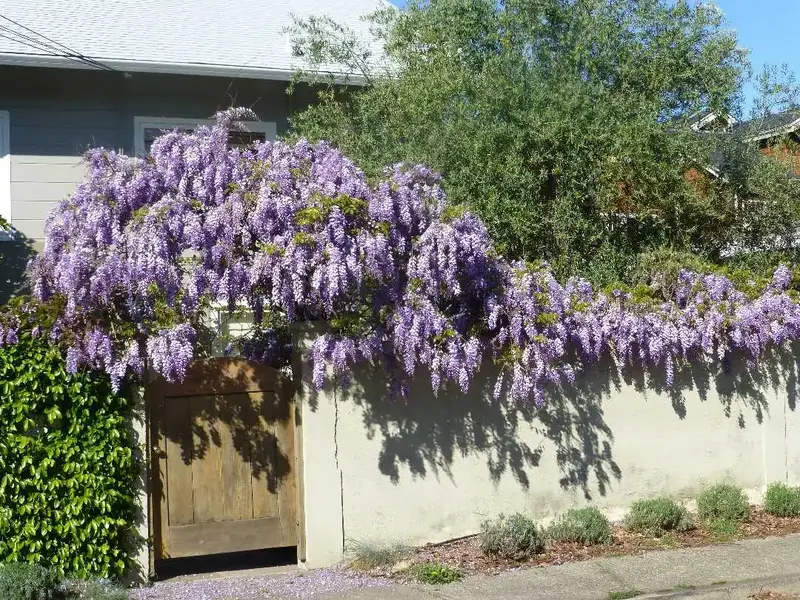 Spring Flowers.webp