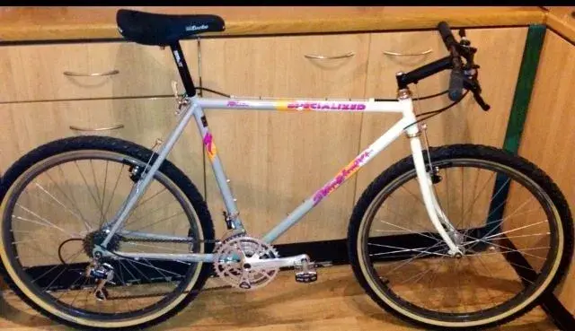 1989 stumpjumper 2025