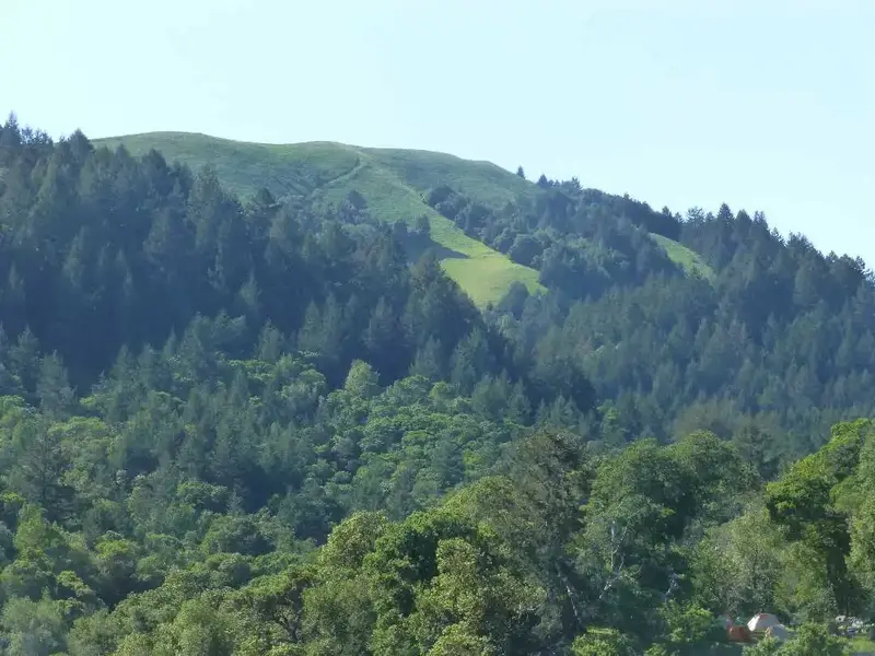 White's Hill.webp