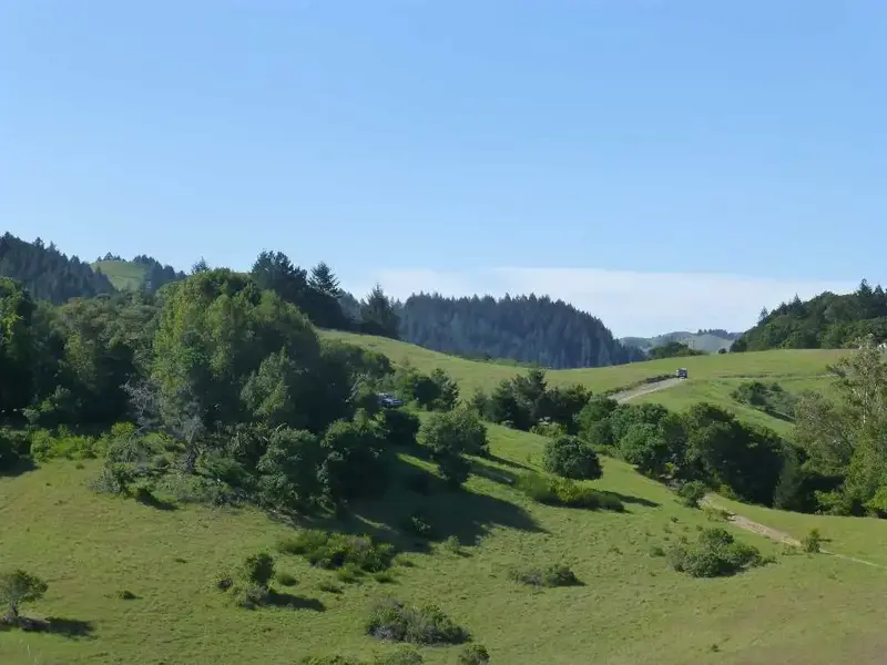 Looking West.webp