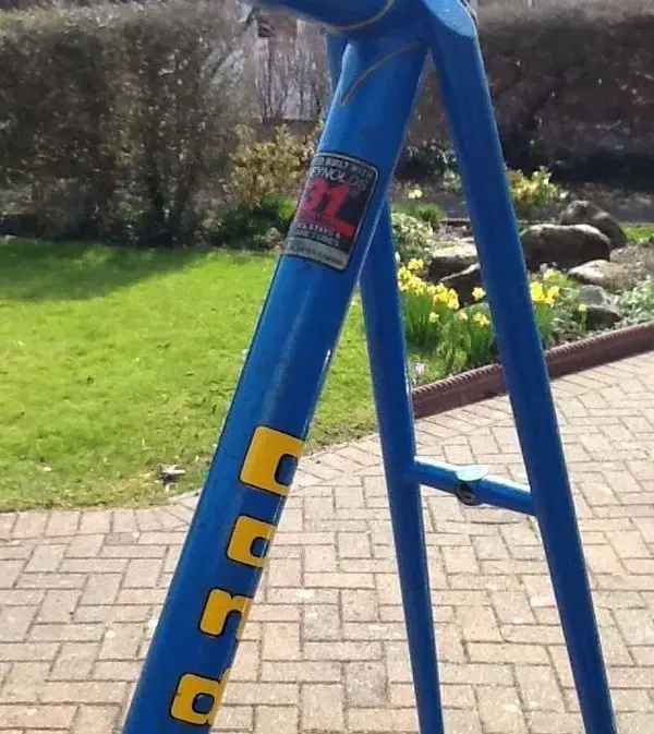 Condor 531p Decals.webp
