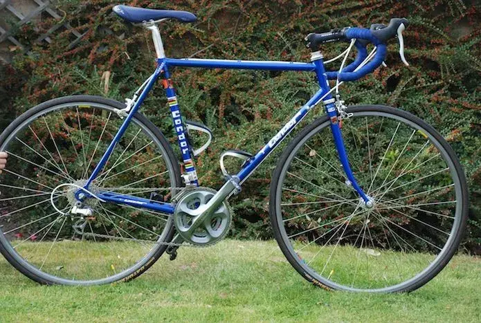 Condor 1987.webp