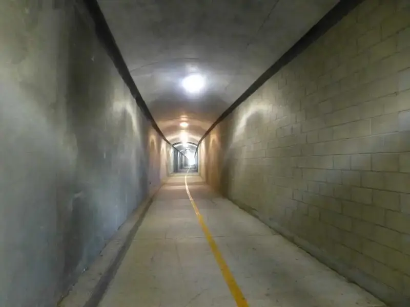 Inside the Tunnel.webp