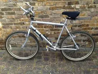 Raleigh voyager mountain bike 2025