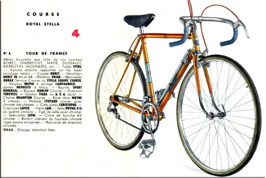 1953 Stella.webp