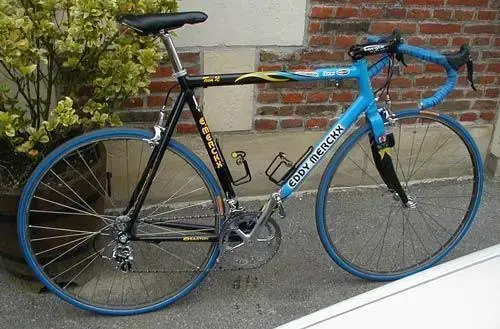 Domo Farm Frites bike.webp