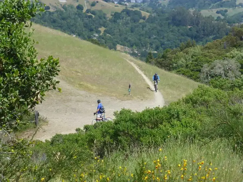 Trail Junction.webp