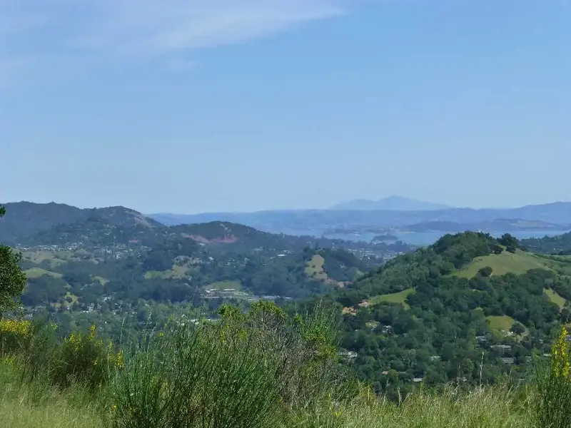 On the way up.webp