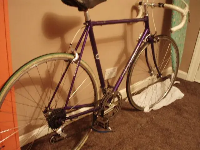15120719664_c95f826175_z.webp