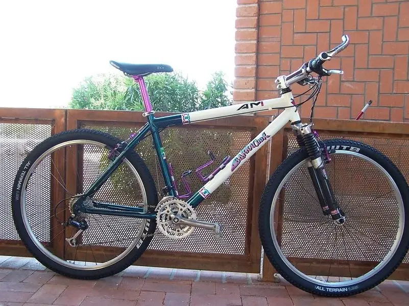 Baracuda 2 001.webp