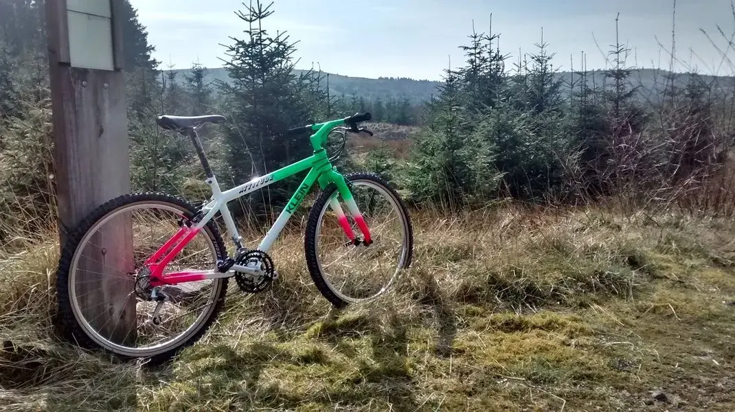 First Ride 2.webp