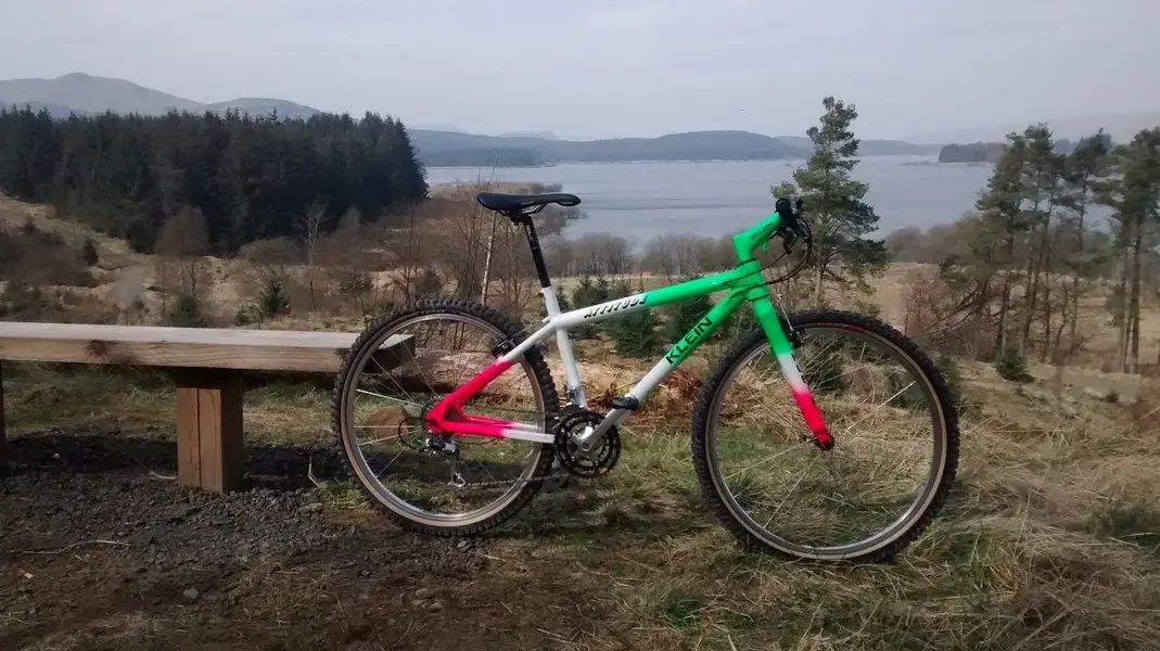 First Ride 3.webp