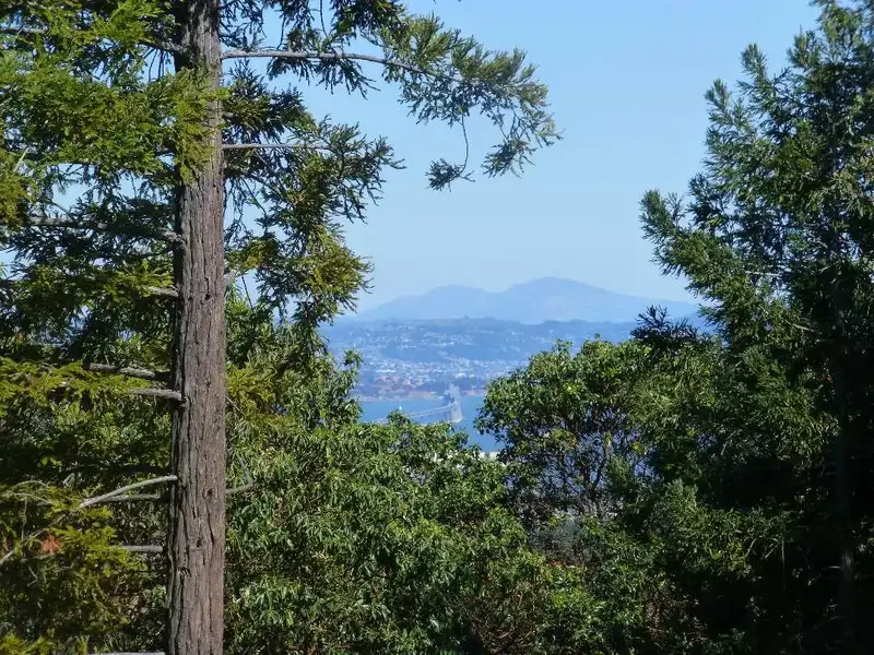 Mt. Diablo and the Bay.webp