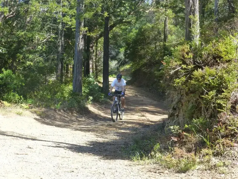 1000' up Eldridge.webp