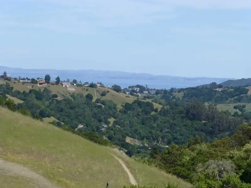 Today's Bay View.webp