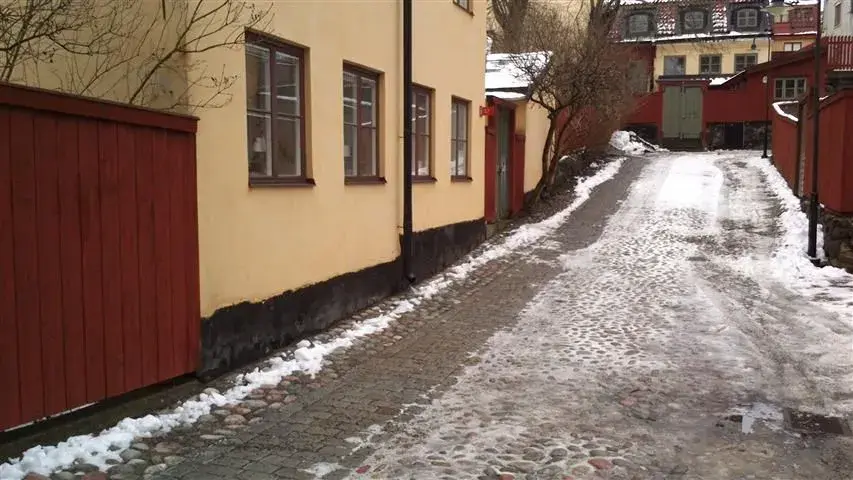 cobbled street.webp