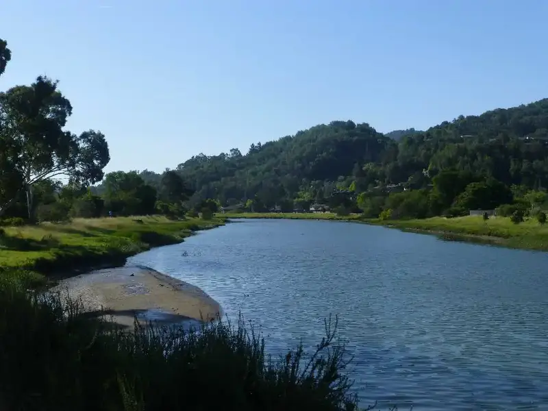 Corte Madera Creek.webp