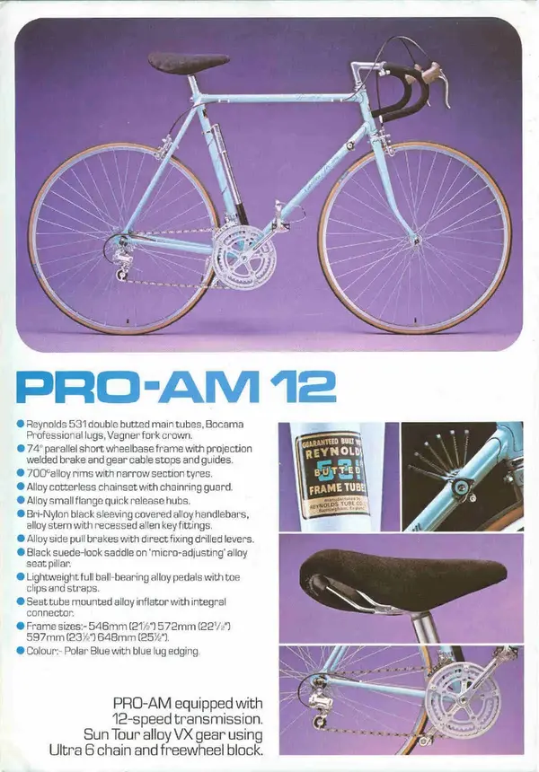 Carlton Leaflet.webp