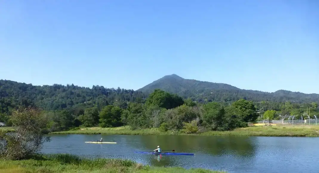Rowers.webp