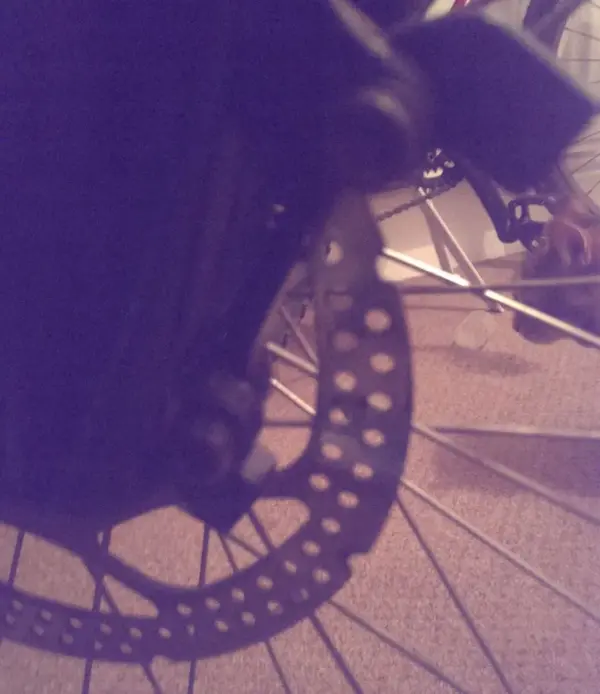 IMAG2040.webp