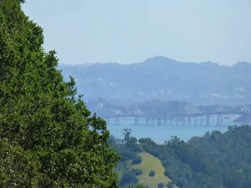 Richmond Bridge .webp
