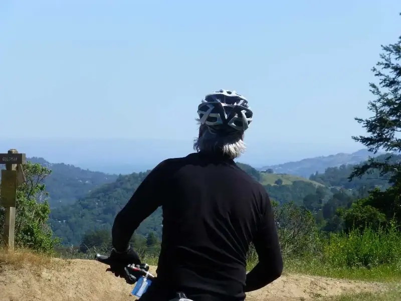 At the Top.webp