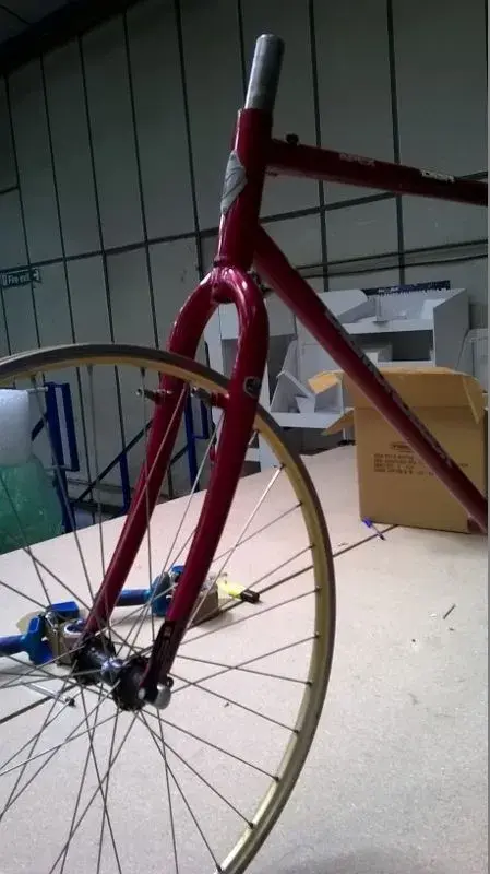 WP_20150421_003 (449x800).webp