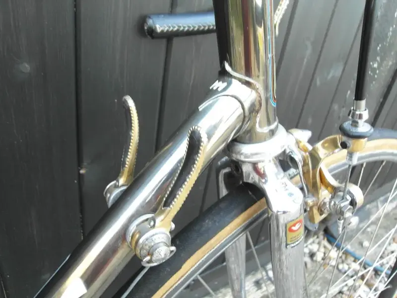 Moser cromovelato 005.webp