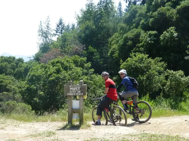 Trail Junction.webp