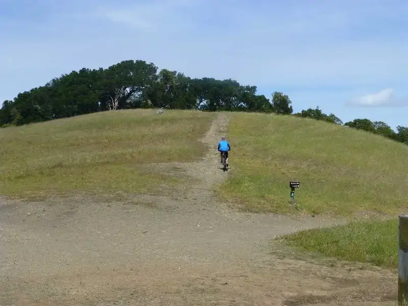 Trail Junction.webp