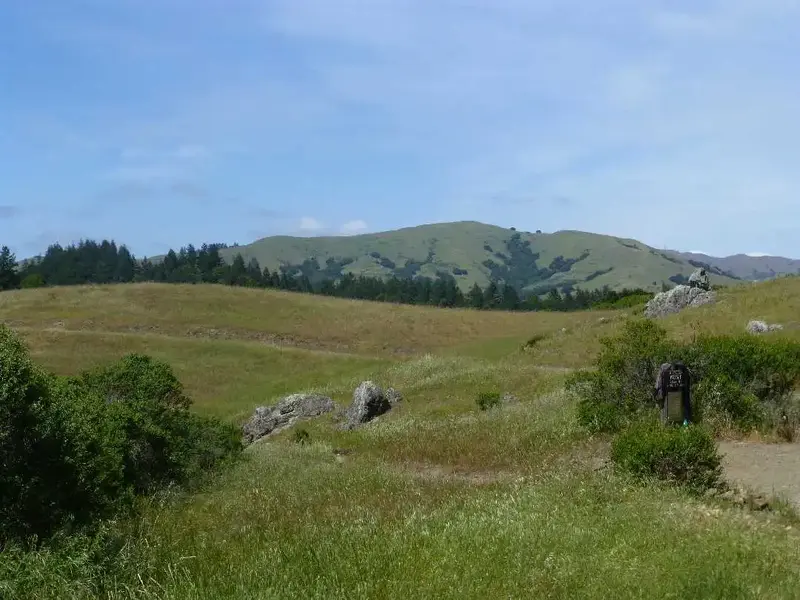 Loma Alta 1592'.webp