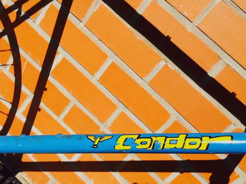 Condor 2.webp