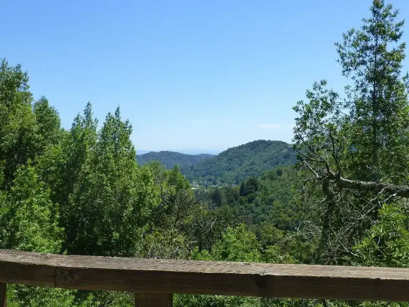 Looking East.webp