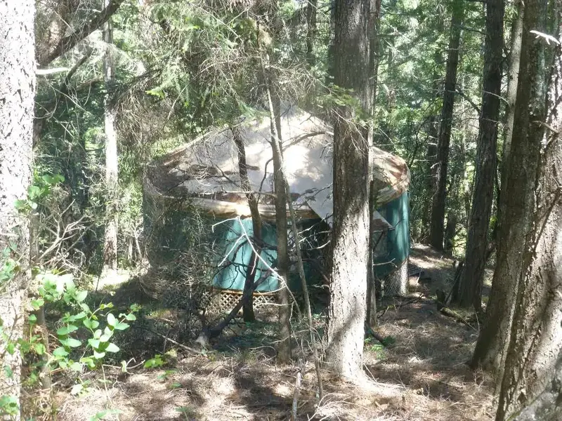 Yurt in the woods.webp