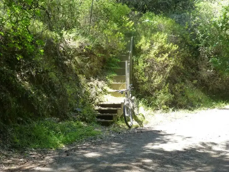 Trailhead.webp