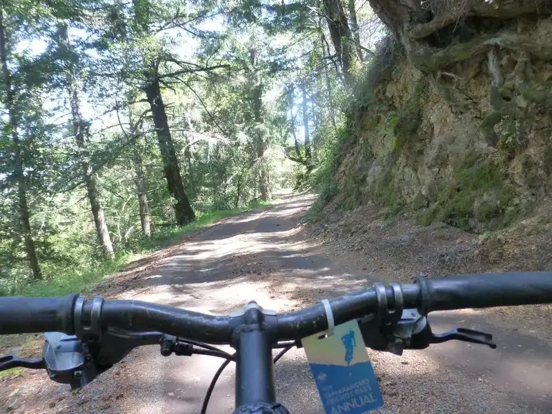 Down Iron Springs roade.webp