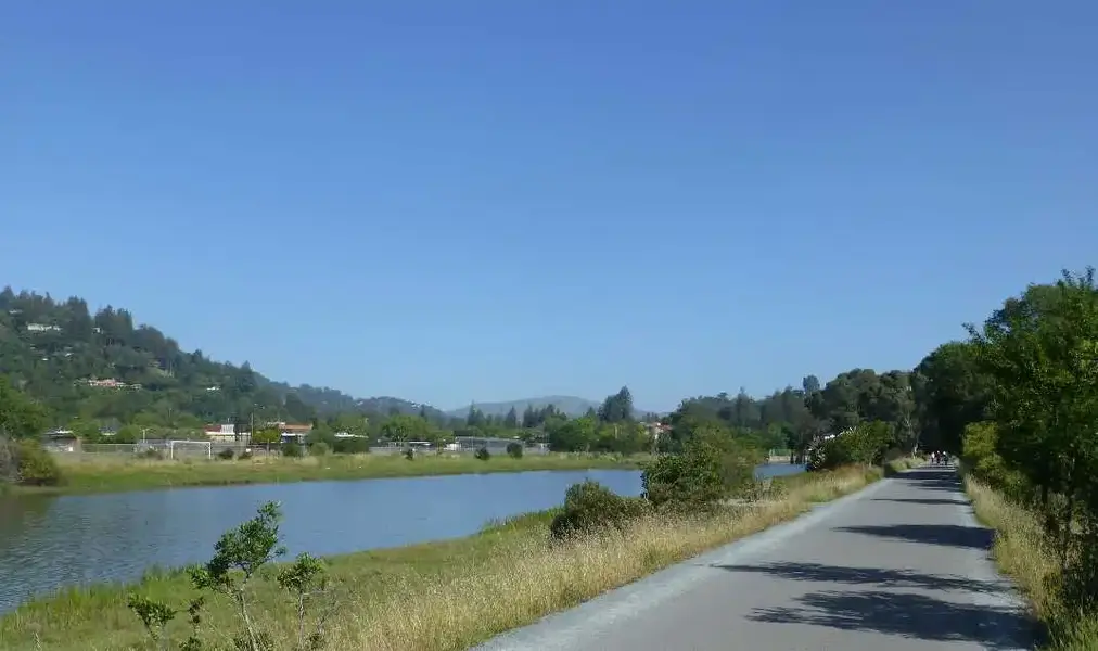 Corte Madera creek bike path.webp