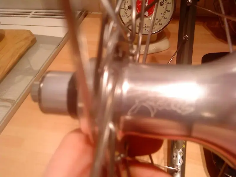 DSC00428 (Large).webp