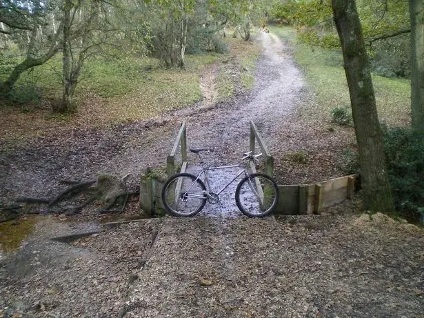 todays nf ride 003resize.webp
