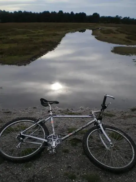 todays nf ride 007resize.webp
