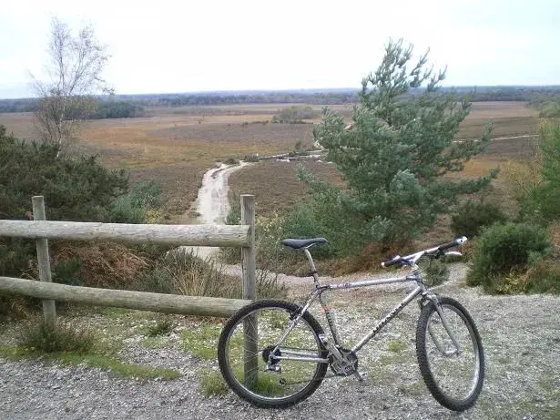 todays nf ride 011resize.webp