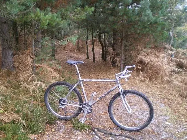 todays nf ride 013resize.webp